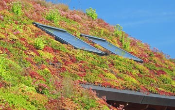 Haydon Bridge living roof systems