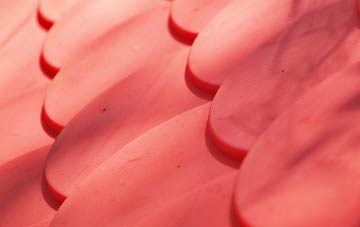 Haydon Bridge plastic roof costs