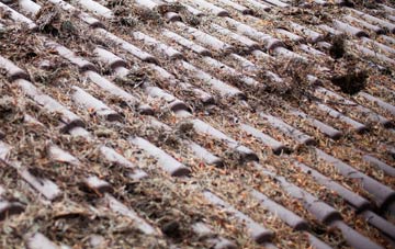 Haydon Bridge roof cleaning companies