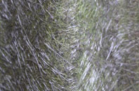 Haydon Bridge fibreglass roof work